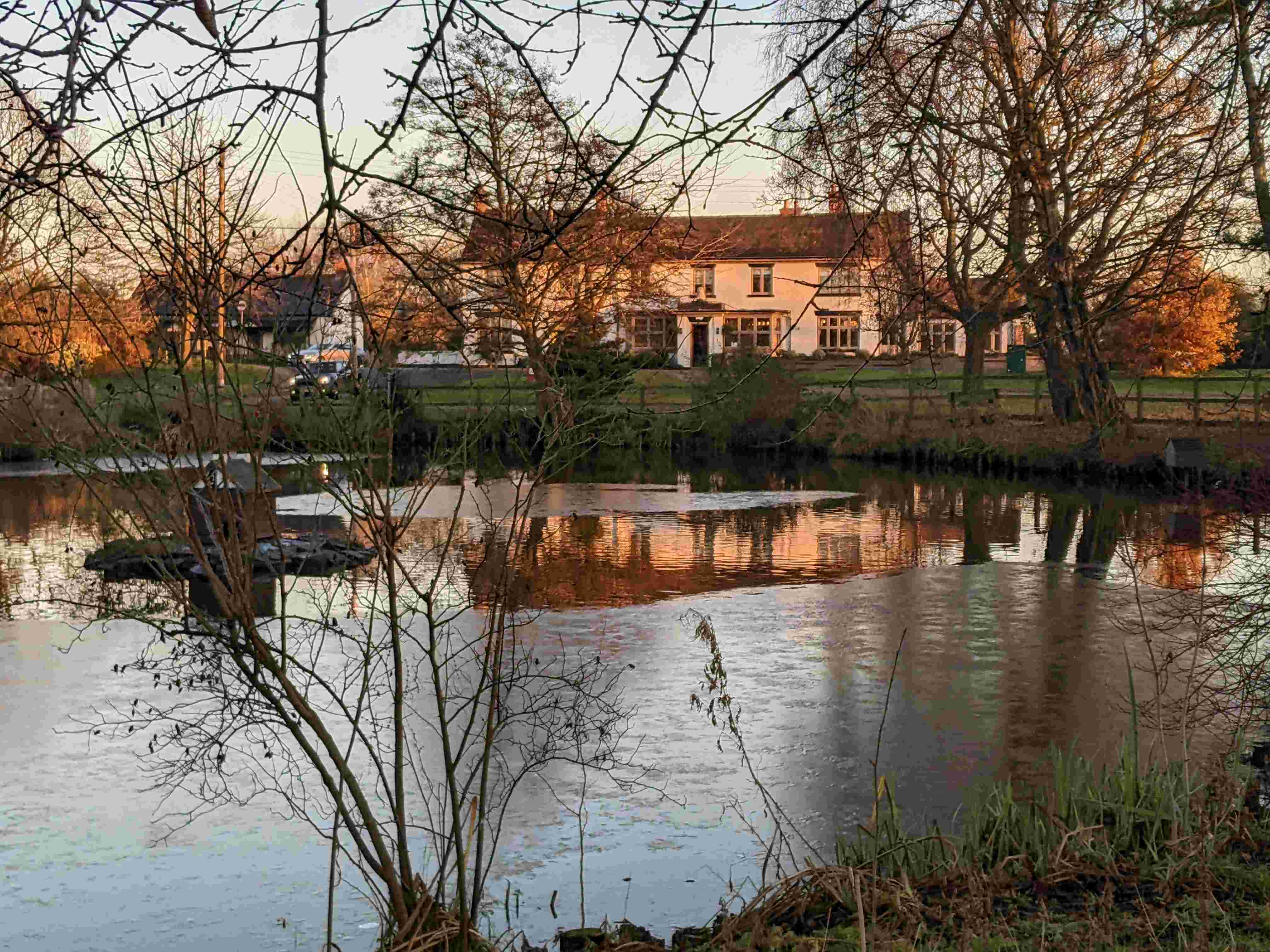 Village Pond, November 2023